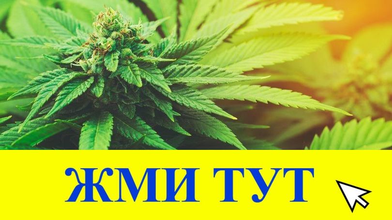 Купить наркотики в Тогучине